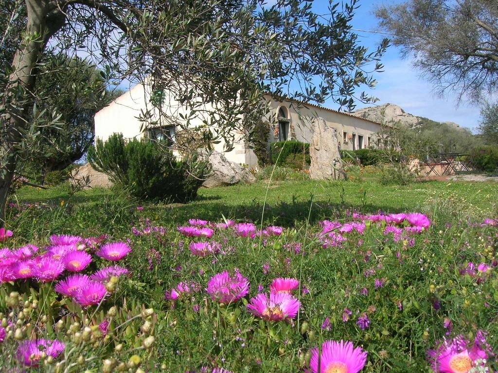 La Mesenda Rooms & Apartments Arzachena Εξωτερικό φωτογραφία
